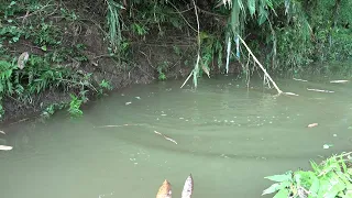 FULL VIDEO: Unique Fishing - Pumping Water Outside The Natural Lake, Harvesting A Lot Of Big Fish