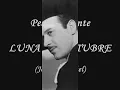 PEDRO INFANTE - Luna de Octubre