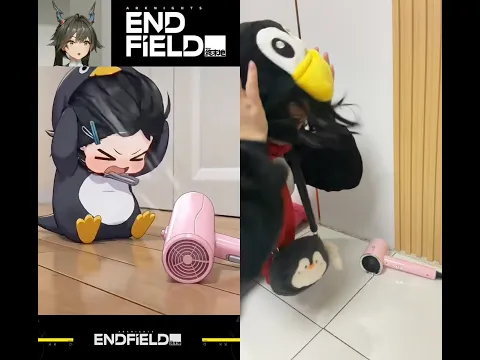 【Arknights: Endfield】Pengering Rambut #arknightsendfield #endfield #gugugaga
