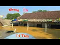 Download Lagu Đi Tìm Những Con Vật Thất Lạc Xem Con Gì Sau Bão Lũ Không..