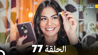 مسلسل الطائر المبكر الحلقة 77 Arabic Dubbed FULL HD 