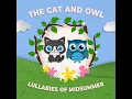 Over The Rainbow - The Cat and Owl