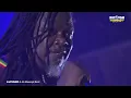 LUCIANO & Jah Messenjah Band live @ Rototom Sunsplash 2026