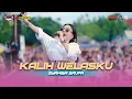 Download Lagu SYAHIBA SAUFA - KALIH WELASKU | LIVE ONE PRO PEMUDA PURWOHARJO BERSATU(POBERS) x NGX NGOSEX AUDIO