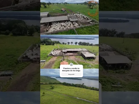 Paraíso a venda às margens do rio xingu #viral #shortvideo #fazenda #agro