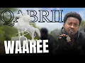 Download Lagu Qabrii BAKHAR WAAREE | Gooticha gaafa Lola CALII CALANQOO | Aanaa Miidhaga Tolaa  - mue max