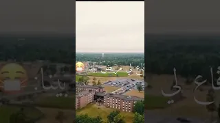 كاع لي مريض بينا Shorts 