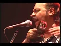 LOS GATOS SALVAJES La Respuesta 1965 - 2005