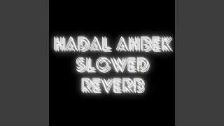 Download Hadal Ahbek Slowed Reverb (Remix) MP3