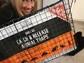 Animal Trap Set Up To Capture Creature Burrowing Under Porch Steps