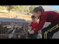 🐦 Two Partridges Trapped in a Well! Zeynab's Amazing Rescue ❤️