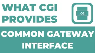 What Common Gateway Interface Provides CGI Complete Course