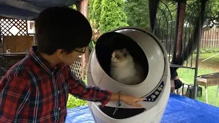 Litter-Robot III Blinking Flashing YELLOW Light Globe Spinning Rotate One Direction How To Fix LR3