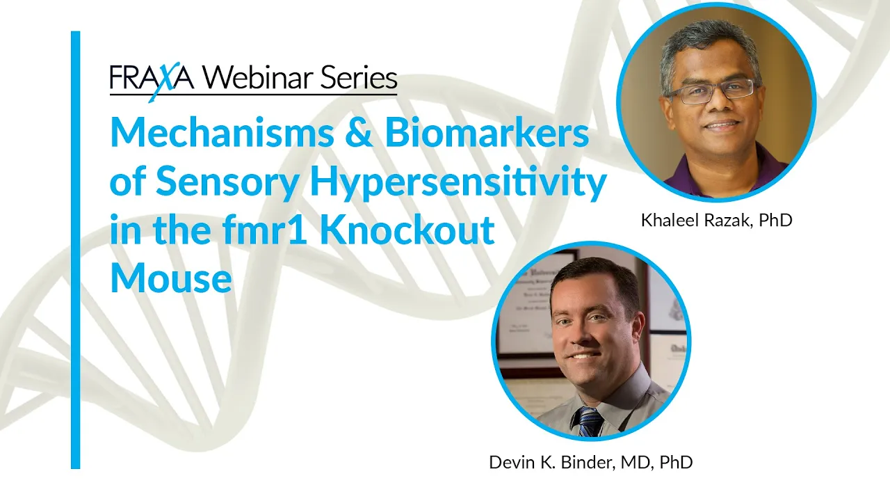 Mechanisms and Biomarkers of Sensory Hypersensitivity in the fmr1 Knockout Mouse