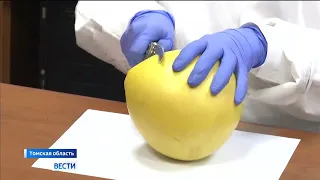 В Томске продукты начали использовать в аэрокосмической отрасли и машиностроении