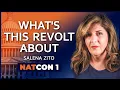 Salena Zito What s This Revolt About