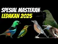 Download Lagu MASTERAN BURUNG SPESIAL TEMBAKAN KASAR LEDAKAN 2025