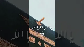 إليك فوضت أمري ياعالما سر سري  إنشاد الشيخ هيثم قشقو دندنها