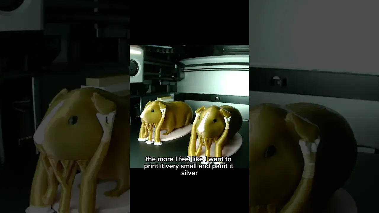 Guinea Pig video thumbnail