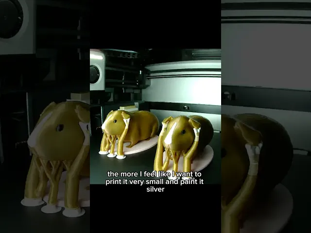 Guinea Pig video thumbnail