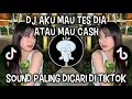 Download Lagu DJ AKU MAU TES DIA ATAU MAU CASH || DJ KASIH ABA ABA VIRAL DI TIKTOK‼️