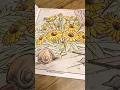 Blanket Flowers
