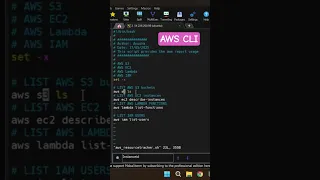 Access AWS CLI using shell script