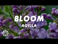 Aqyila - Bloom