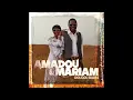 Dougou Badia (feat. Santi White) - Amadou & Mariam