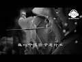 酒幹倘賣無 - 蘇芮 - 『超高无损音質』【動態歌詞Lyrics】