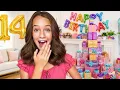 We Planned 14 Birt ay Surprises She Never Saw the Last One Coming