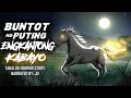 BUNTOT NG PUTING ENGKANTONG KABAYO (Aswang True Story)