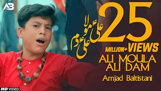 ALI MOLA ALI DAM DAM Jaanam Fida E Haideri AMJAD BALTISTANI Official Video TNA RECORDS 