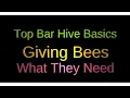 Download Lagu Top Bar Hive Basics: Giving the Bees What They Need (top bars, roofs and other hardware)