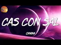 🎶 Canina - Cas Con Sal (Letras\Lyric)