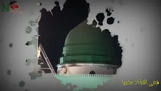 غازلتها فتبسمت   أنشودة أكثر من رائعة    دندنها