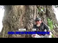 Download Lagu NENG JENI/ABAH BALAGADONA/ CIPT ; ATE.M
