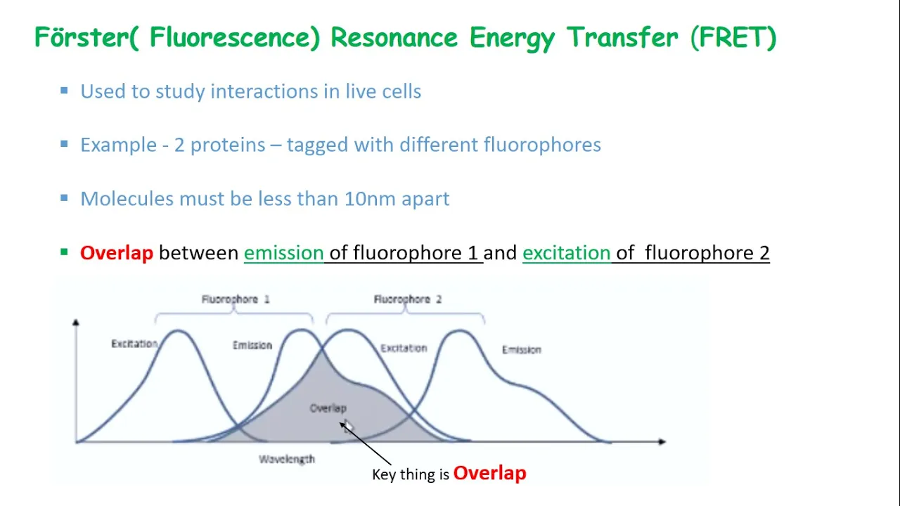 Fluorescence Resonance Energy Transfer(FRET)  | Perovskite Nano-crystal
