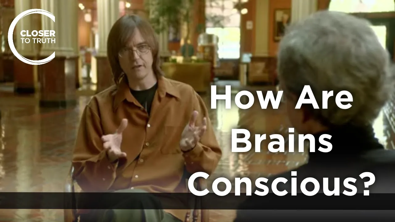 Dean W. Zimmerman - How are Brains Conscious?