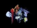 WILDES - Let You Go
