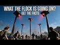 What The FLOCK IS Going On The Scoop and Poop On Flock Cameras YOU NEED TO KNOW