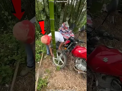 #bts