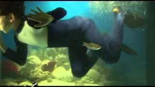 شامپو ملایم صحت 