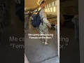 Download Lagu Female on deck #army #marines #military #funny