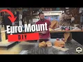How to Build a Wooden European Skull Mount DIY Deer Euro Mount Plaque