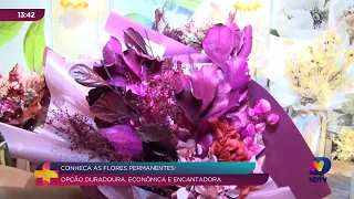 Flores permanentes: beleza que dura mais e transforma ambientes