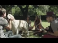 Download Lagu Jesse \u0026 Joy - ¿Con Quien Se Queda El Perro? (Video Oficial)