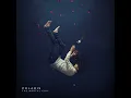 The Remedy - Polaris