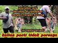 Download Lagu 🔴ASLI NYATA HADIAH DARI EYANG BASUKI UNTUK MBAH WONGSO SEEKOR HARIMAU  @probotrishnab.r