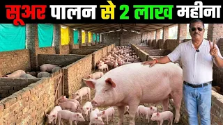 सूअर पालन से ₹2 लाख महीना कमाई | Pig Farming Business